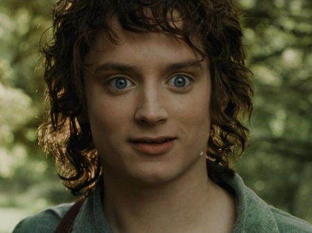 Фродо бэггинс актер