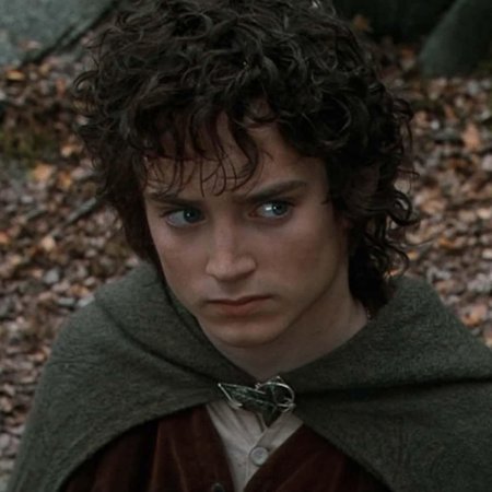 Фродо из властелина колец актер