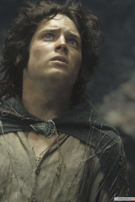 Властелин колец фродо