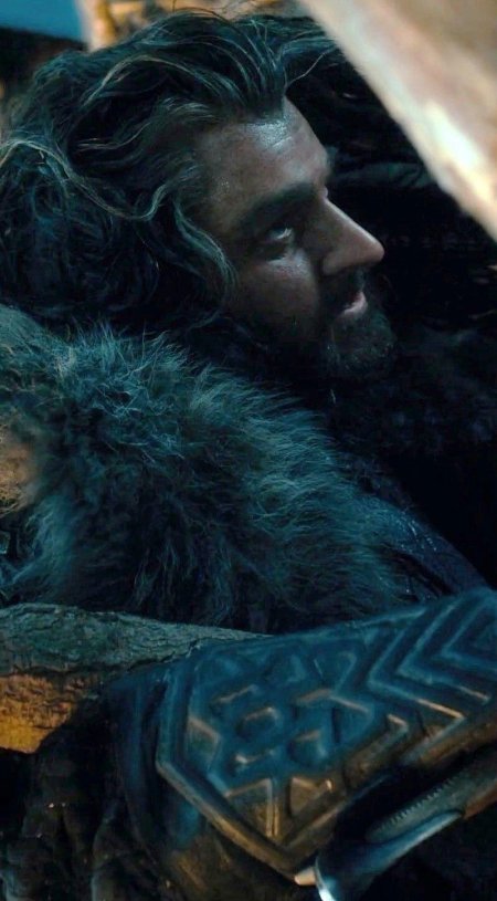 Торин дубощит хоббит