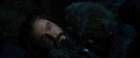 Торин дубощит хоббит