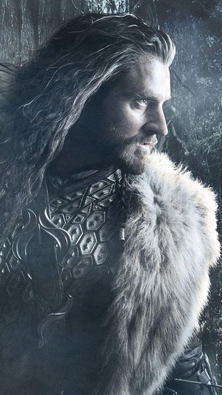 Торин дубощит хоббит