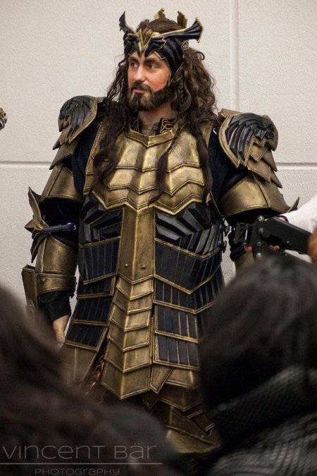 Торин дубощит в доспехах