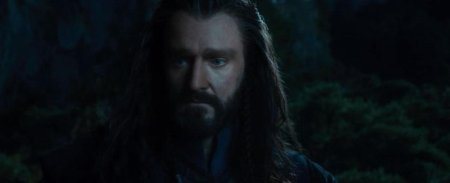 Торин дубощит хоббит