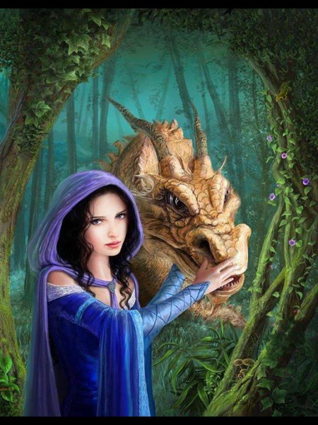 Sonia verdu художник