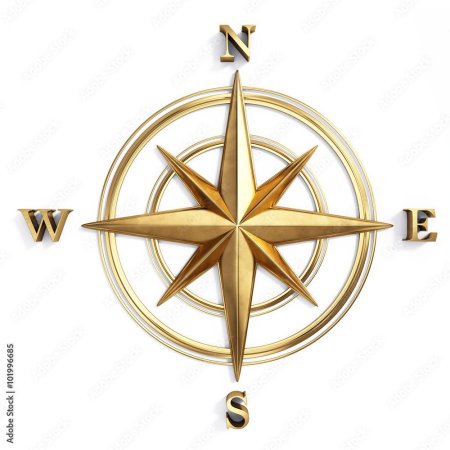 Роза ветров д модель