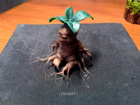 Мандрагора гарри поттер