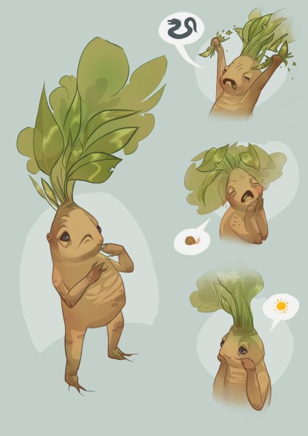 Гарри поттер мандрагора