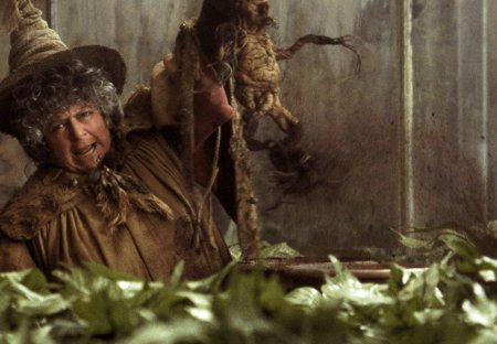 Помона стебль гарри поттер