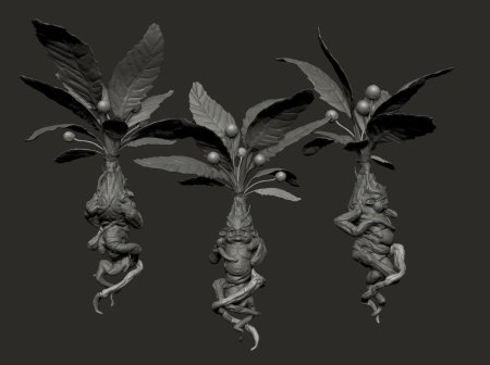 Мандрагора гарри поттер