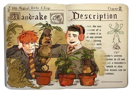 Травология гарри поттер мандрагора