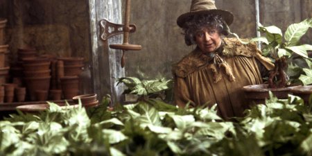 Помона стебль гарри поттер