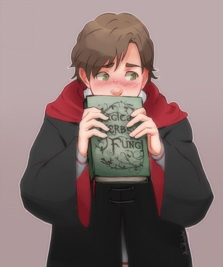 Аниме гарри поттер