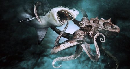 Mega shark vs giant octopus 2009