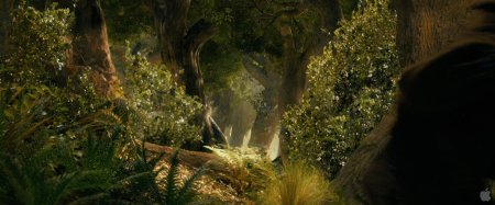 Хоббит радагаст на кроликах