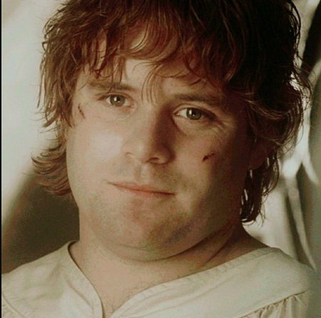 Шон эстин властелин колец