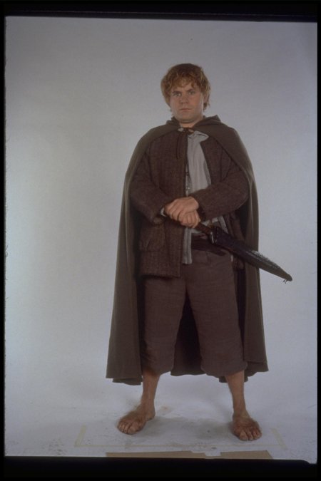 Сэм гэмджи властелин колец