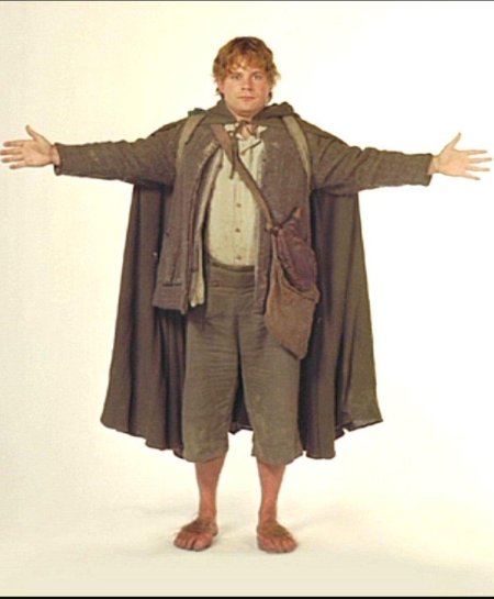 Сэм гэмджи властелин колец