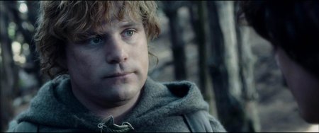 Властелин колец сэм