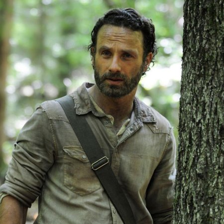 Эндрю линкольн рик