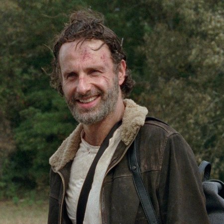 The walking dead rick grimes