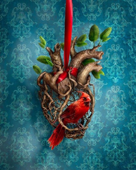 Человеческое сердце