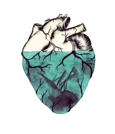 Человеческое сердце