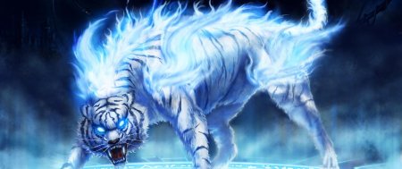 Бьякко белый тигр