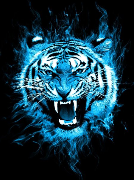 Крутой тигр