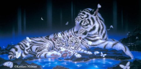 Кентаро нишино художник