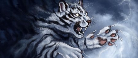 Бьякко белый тигр