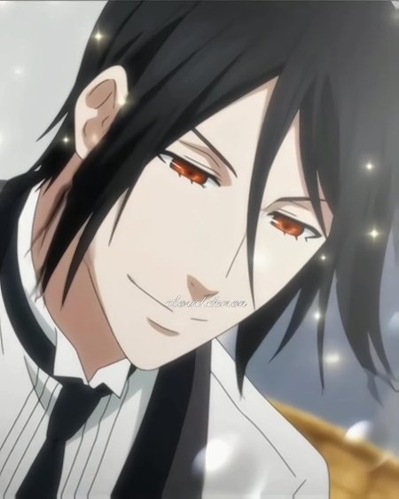 Себастьян михаэлис