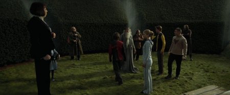 Седрик диггори кубок огня