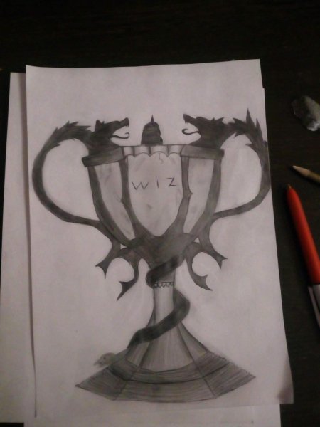 Кубок огня из гарри поттера