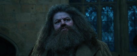 Хагрид гарри поттер