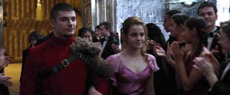 Виктор крам гарри поттер