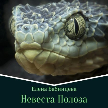 Кустарниковая гадюка atheris