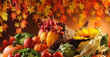 Осенний урожай