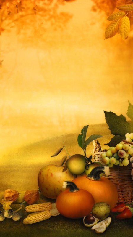 Осенний урожай