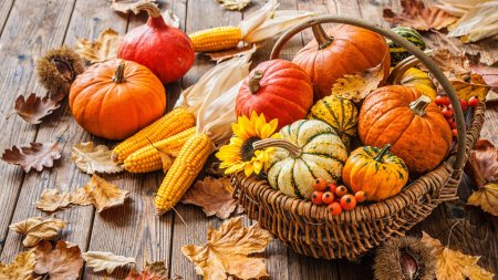 Осенние овощи
