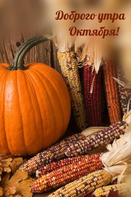 Осенние тыквы