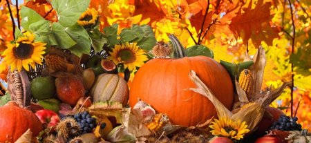 Осенний урожай