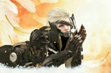 Райден метал гир