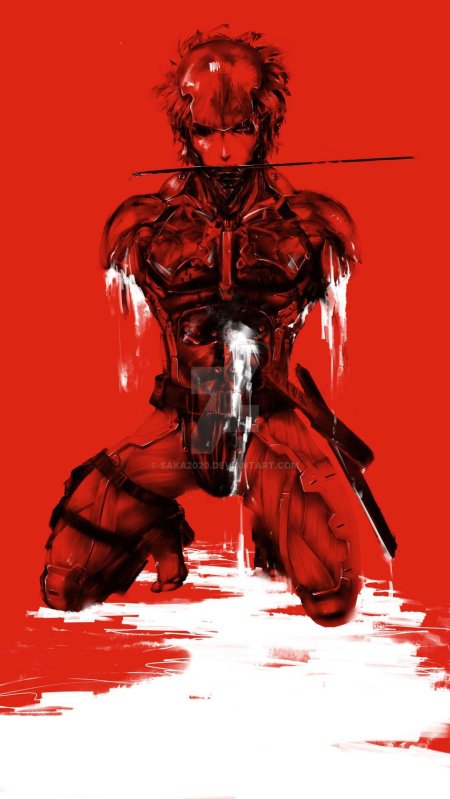 Райден из метал гир