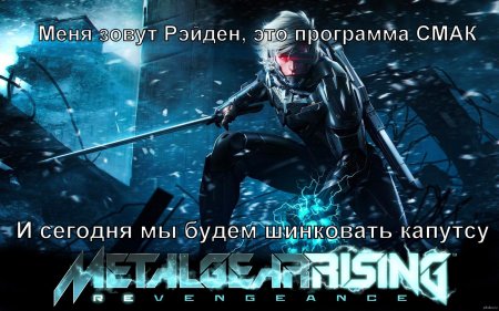 Игра metal gear rising revengeance