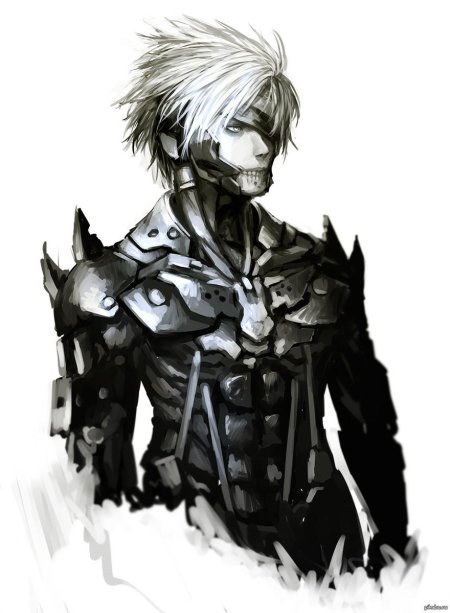 Raiden metal gear
