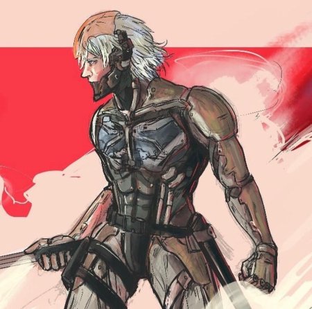 Metal gear rising hero