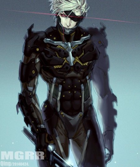 Raiden metal gear