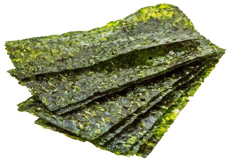 Водоросли нори