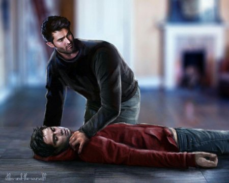 Волчонок арт стерек